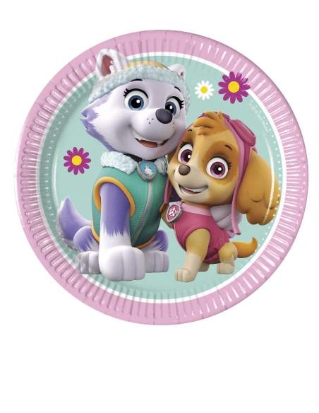 Paw patrol girl födelsedagsdekorationspaket Skye och Everest HappyTarta.se - 2